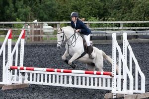 Class 5 - Fences not above 2'6